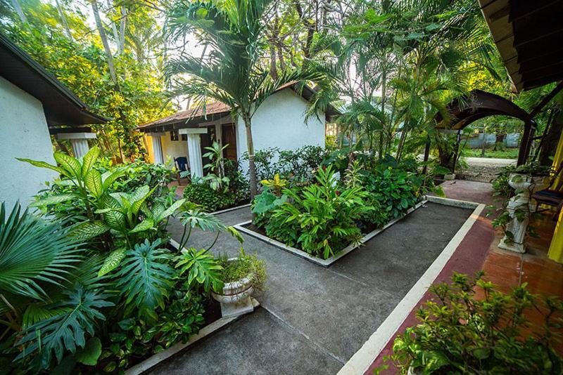 Hotel Hibiscus Cabina 4 Playa Junquillal ภายนอก รูปภาพ